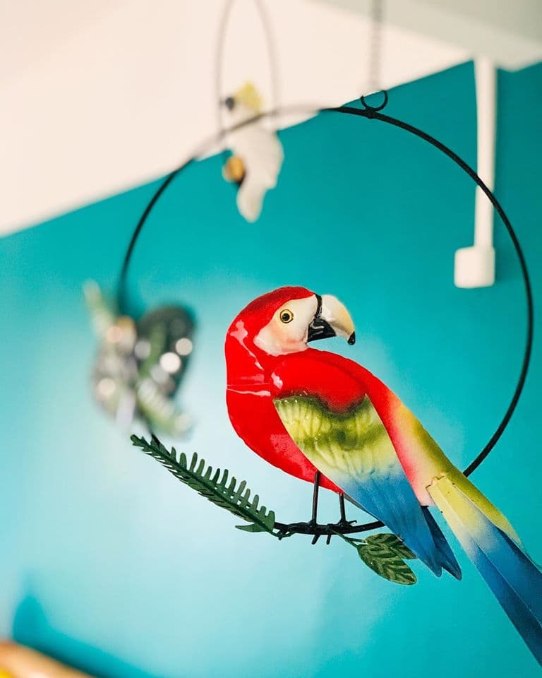 Intérieur et extérieur de la villa — OISEAU SALON