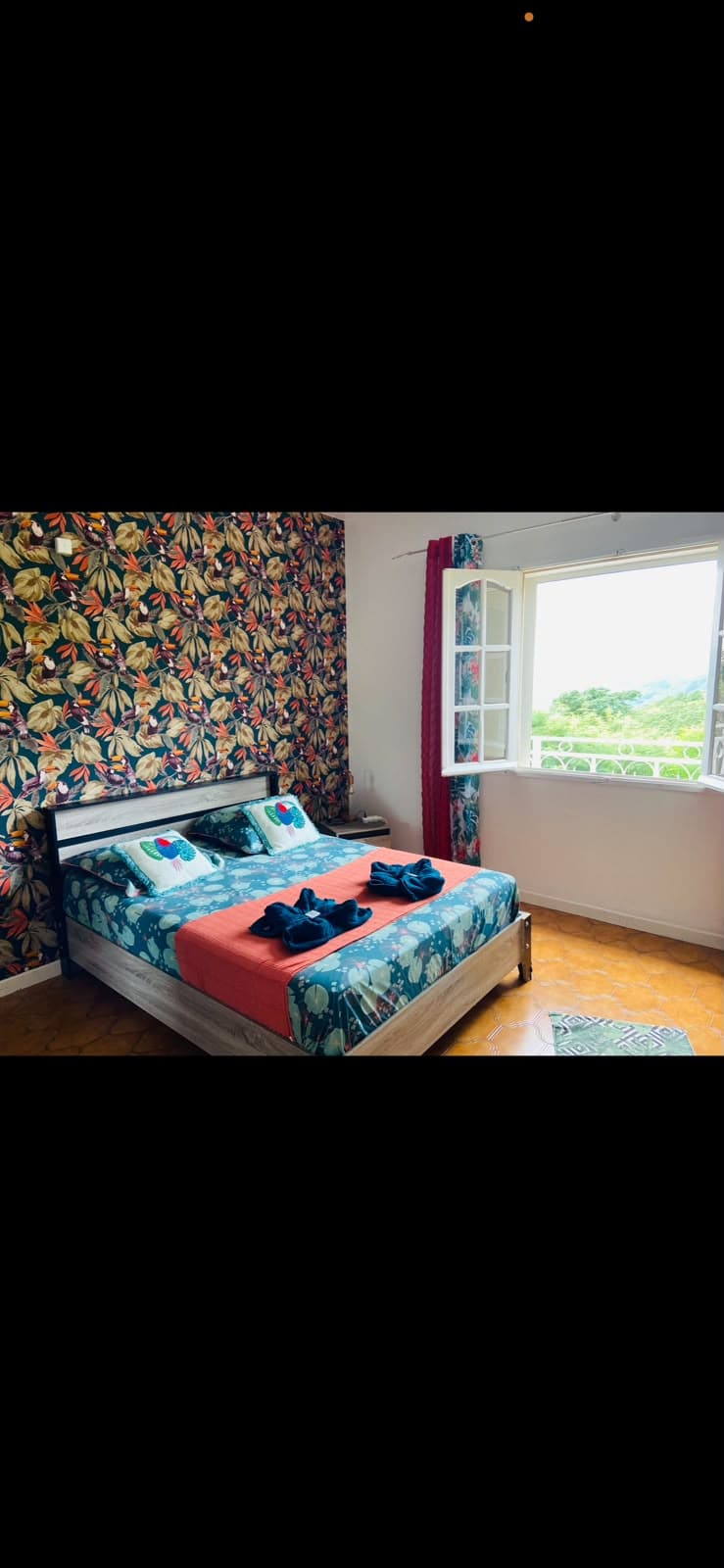 Chambre Canopée